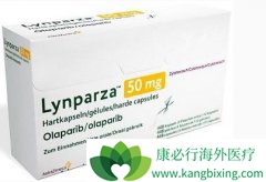 ��������(Olaparib)�ķ�ҩ������ʹ��ע������