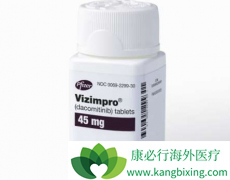 ������ᣨDacomitinib�������������з��Ķ���EGFR�Ұ��ἤø���Ƽ�