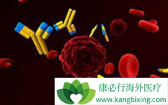 PD-1���Ƽ���PD-L1���Ƽ������û��ƵĲ���