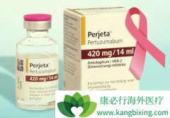 �����鵥��(Pertuzumab)���Ƽ��÷�������������Ӧ