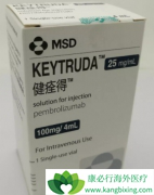 ת���Ժ�ɫ��������ͣ����ķ����(pembrolizumab)�����ܻ�ó־û���