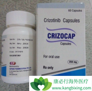 ����������ҩ��������Բ���֢������������