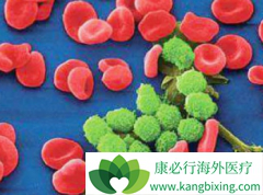 ������³����(Ibrutinib)һ���Ƴ̺󽵵�ҩ������Ӱ����Ч