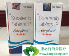 ��������/�༪����ҩ�ڼ��������֢״˵�����������ಡ