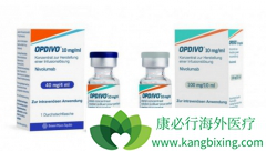 �ձ�������ѧ�����ӽ����Ŷ�ƾPD-1���Ƽ���ŵ����ҽѧ��