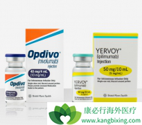 ��֢�����Ʒ�PD-1���Ƽ���CTLA-4������ͬն��ŵ����ҽѧ��