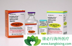 ŵ����ҽѧ��CTLA-4��������ҩ��Yervoy��ipilimumab����ʲô��