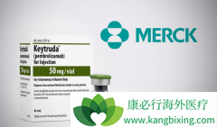 Ŀǰȫ�������PD-����ҩ�����ļ���������PD-1���Ƽ��о���չ��