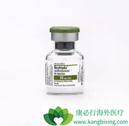 Ŀǰ�Ѿ����������߼����Ʒ�PD-1����ҩ�����й�����