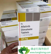 ��������(Gilotrif)�ͼ�������������������ڷΰ�����ʲô��ͬ