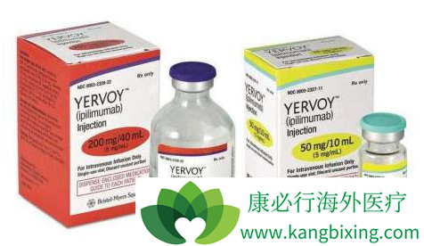 ��ƥľ����