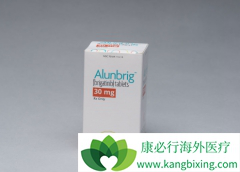 ��һ��ALK���Ƽ��������������Ч����ô����