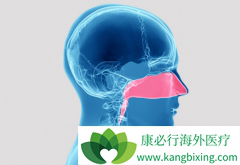 ̩����/�����鵥�������ƿ��ӳ����ʰ����ߵ�������