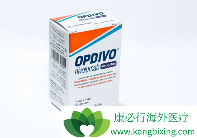 PD-1抗体 PD-1抗体