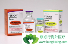 CTLA-4ƼYervoyIpilimumabư֢û