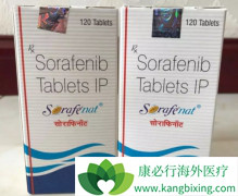 ӡҩ༪(Sorafenib)ʧЧ߿ɷַ