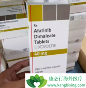 (AFATINIB)ƤʼؿưҩµļԷ