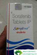 ����ҩ����������(SORAFENIB)��ͬʱ�����ڶ��ͨ·