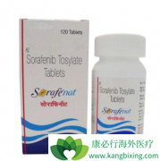 ��������(SORAFENAT)���ַ�����İ�ȫ�ԶԱ�