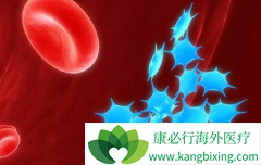 �������������뻯�Ƶ�����ǻ�����ܰ���һ�����Ʒ���