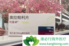 PARP���Ƽ����������/����׿�ܷ�����ǰ���ٰ����ߵ����ƣ�