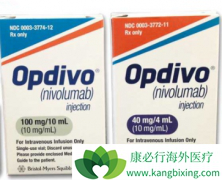 ���䵥��(Opdivo)���˶����������ڷΰ������¸����������ڷΰ�