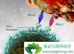 PD-1���Ƽ���ȱ������Щ����ʲô�������Ա��⣿