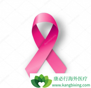 ٰĿǰȡľ׼ֶǰ;