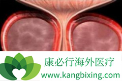 Ů��Ӧ���˽��ǰ���ٳ�ʶ֮ǰ��������