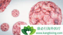 �����ܰ������Ʒ����ʺ����껼��