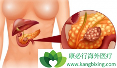 ���ٰ�������ҩ����˼�����������ʲô