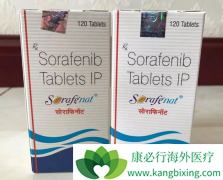 �ط����������Ϊ�༪����ҩ��ĸΰ�����ѡ����