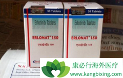 ���޿�(ERLOTINIB)���ϱ����������������ڷΰ����߻������ڳ�������