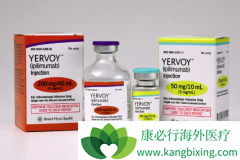 CTLA-4��Ŀǰ���ŵ����߼������Ƽ��е�֮һ  