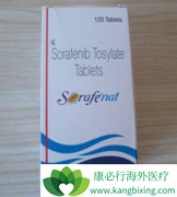 ����ҩ��༪��(SORAFENIB)/��������������