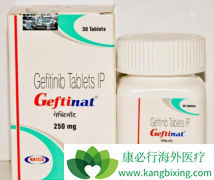 һ�߼���������ҩ�����������������������Ľ��