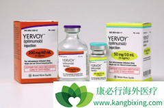 �����Ʒ�CTLA-4����ĸ�����֮һ�ǽ�ֱ����