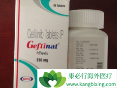 �����������ҩӡ������ɳ(GEFINAT)�кζ���֮��