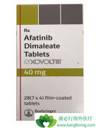 ��������(afatinib)��ҩ��Ϊ�λ���ָ�к��ֹ�������