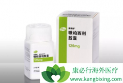 ȫ���׸����ٰ�CDK4/6���Ƽ��������ᣨPalbociclib�����й�����