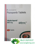 ҽ���ͻ���Ϊ�ζ�ϲ��ѡ����������(PAZOPANIB)