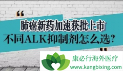 ��ɯ�����ǹ���ҩ�󱴴�ҩҵ�Ƴ���ȫ��ALK���Ƽ�