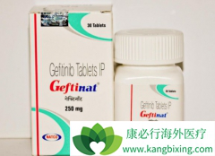 һ��EGFR-TKIҩ���缪�������ڷΰ�������Ӱ����Զ