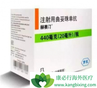 ���ٰ�ҩ�����͡(trastuzumab)�Ĺ���ԭ����ʲô