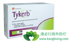 ��������(TYKERB)��ҩ���ڳ���Ƥ���Ǹ���Ԥ��