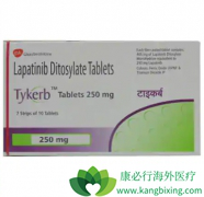 �������ᣨLapatinib���뿨�����������������ٰ���Ч��
