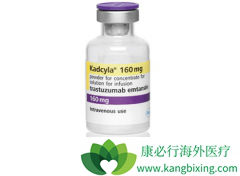 T-DM1������������HER2-����ת���鰩����