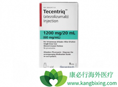 PD-L1����ҩ��Atezolizumab�ı���Сϸ���ΰ�ҩ�ĵ����