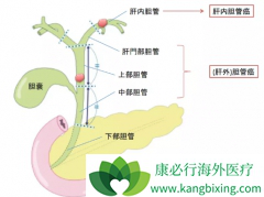 ����������ת����ʲôҩ��ȽϺã�