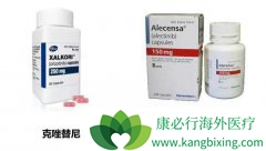 �������������Ч���Ͽ�������������